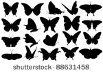 butterfly collage isolated on...