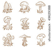 vector set of different cute...
