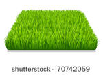 green grass