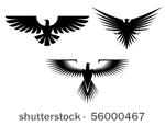 eagle symbol isolated on white  ...