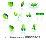 set of leaves icons   also as...