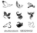 set of bird symbols as a...