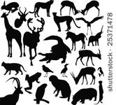 wild animals vector