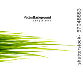 abstract green grass background
