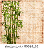 shabby bamboo background. eps 10