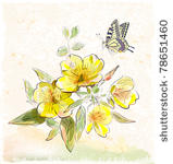 yellow field flowers and...