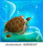 turtles family swimming in the...
