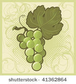 retro styled green grape bunch. ...