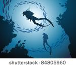 the group of divers rises from...