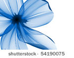 close up flower background