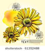 illustration flower background