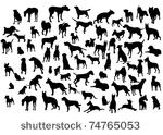 cats and dogs