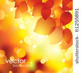 autumn leaves background.vector.