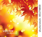 vector autumn leaves background.
