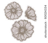 hand drawn flowers  vector