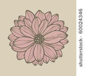 hand drawn flower  vector