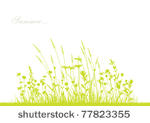 vector grass and flowers...