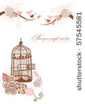floral background for your text....