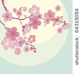 blossoming cherry tree