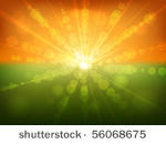 summer sunset bokeh effect...