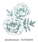 flowers. hand drawn...