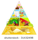 food pyramid.