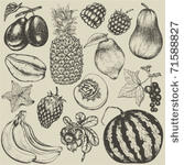 hand drawn set of fruit and...