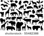 vector animals silhouettes