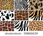 vector animal skin