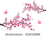 vector cherry blossom with birds