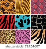 vector animal skin texture