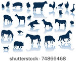 vector farm animals with...