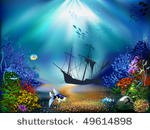 the underwater world of fish...