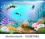 the underwater world of fish...
