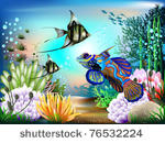 the underwater world of fish...