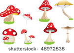 mushroom collection