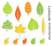 set of leaves. vector...