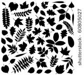 vector collection of leaf...