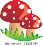 mushroom