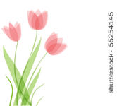 tulip flowers. vector background