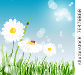 summer card with daisy and...