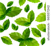 seamless background with fresh...