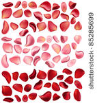 a lot of red and pink rose...
