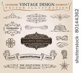 calligraphic elements vintage...