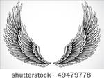 set of illustrated wings. easy...