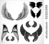 set of detailed vector wings....