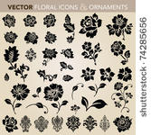 vector floral and flower icon...