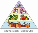 cartoon food pyramid