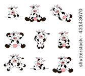 cute cow set