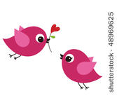 birds with love